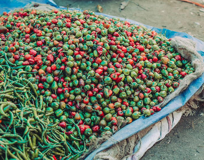 Kuchařka šmrncnutá Nepálem a Indií