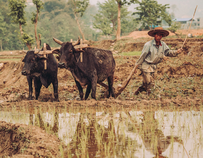 Kuchařka šmrncnutá Nepálem a Indií
